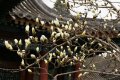 parc en chine 02